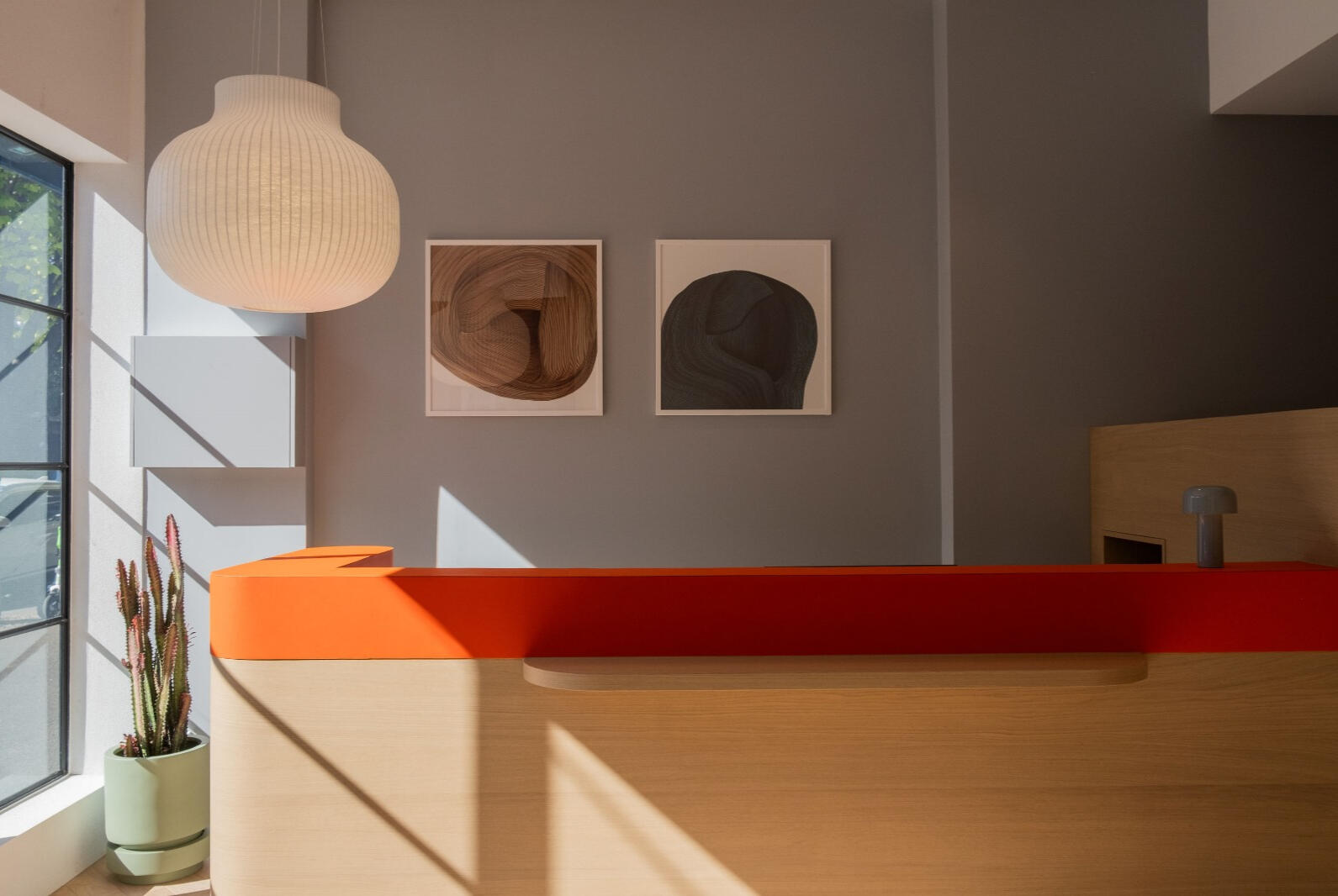 Dentist - reception design - built